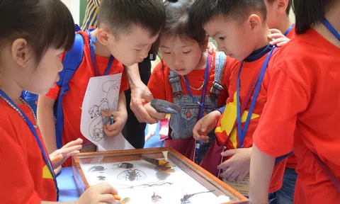 Gợi ý nơi cha mẹ nên đưa con tới trong dịp nghỉ lễ 2/9 này để con vừa học vừa chơi